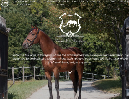Site web institutionnel pour un centre de réhabilitation pour chevaux